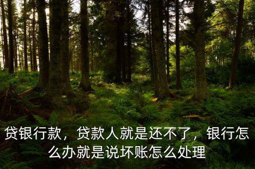 貸銀行款，貸款人就是還不了，銀行怎么辦就是說(shuō)壞賬怎么處理