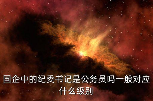 上海電力公司紀(jì)委書記什么級別,一般對應(yīng)什么級別