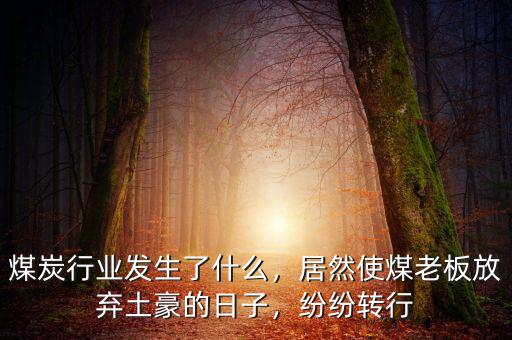 煤炭行業(yè)發(fā)生了什么，居然使煤老板放棄土豪的日子，紛紛轉(zhuǎn)行