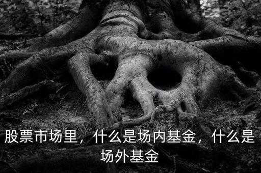 lofs基金是什么意思,什么是場(chǎng)內(nèi)基金