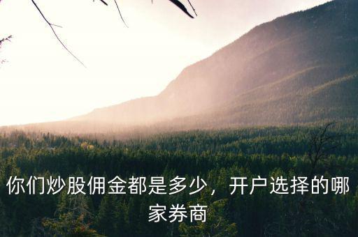 你們炒股傭金都是多少，開戶選擇的哪家券商