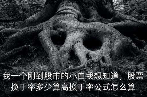 我一個剛到股市的小白我想知道，股票換手率多少算高換手率公式怎么算