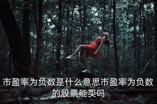 市凈率是負數是什么意思,市盈率為負數是什么意思