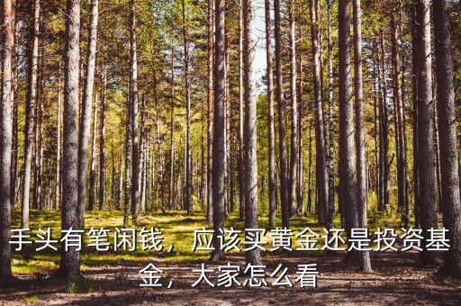 手頭有筆閑錢，應(yīng)該買黃金還是投資基金，大家怎么看