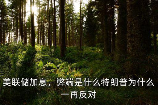 美聯(lián)儲(chǔ)加息，弊端是什么特朗普為什么一再反對(duì)