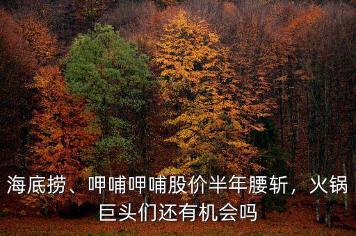 海底撈、呷哺呷哺股價(jià)半年腰斬，火鍋巨頭們還有機(jī)會嗎