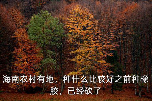 海南農(nóng)村有地，種什么比較好之前種橡膠，已經(jīng)砍了
