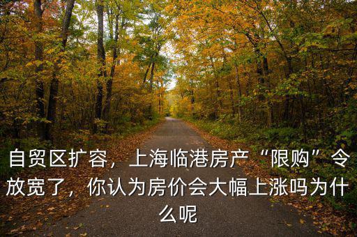 自貿(mào)區(qū)擴(kuò)容，上海臨港房產(chǎn)“限購”令放寬了，你認(rèn)為房價會大幅上漲嗎為什么呢