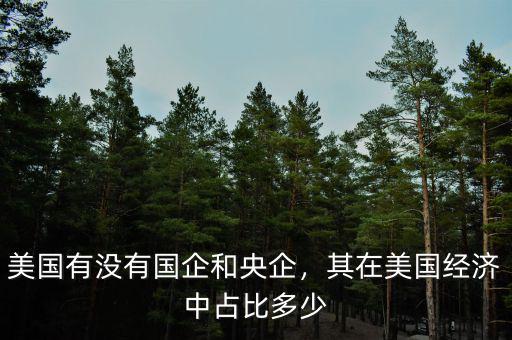 美國有沒有國企和央企，其在美國經(jīng)濟中占比多少