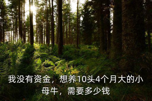 我沒有資金，想養(yǎng)10頭4個(gè)月大的小母牛，需要多少錢
