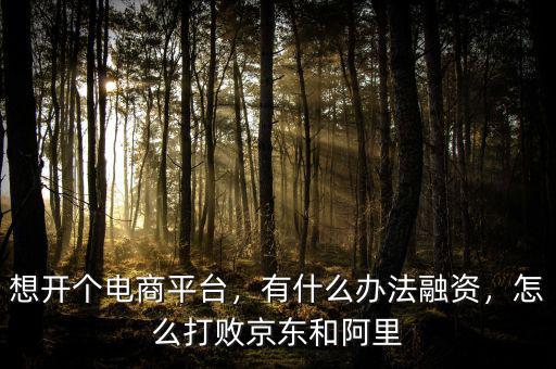 想開個(gè)電商平臺(tái)，有什么辦法融資，怎么打敗京東和阿里