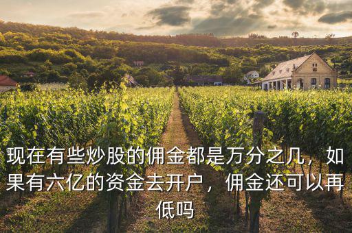 現(xiàn)在有些炒股的傭金都是萬分之幾，如果有六億的資金去開戶，傭金還可以再低嗎