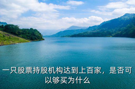 一只股票持股機(jī)構(gòu)達(dá)到上百家，是否可以夠買為什么