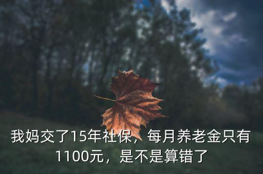 我媽交了15年社保，每月養(yǎng)老金只有1100元，是不是算錯了