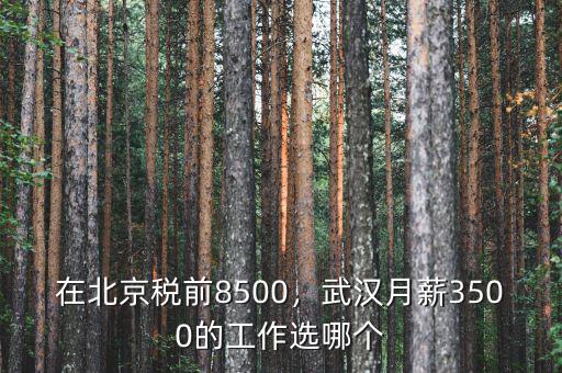 在北京稅前8500，武漢月薪3500的工作選哪個(gè)