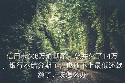 信用卡欠8萬逾期了，總共欠了14萬，銀行不給分期了，也還不上最低還款額了，該怎么辦