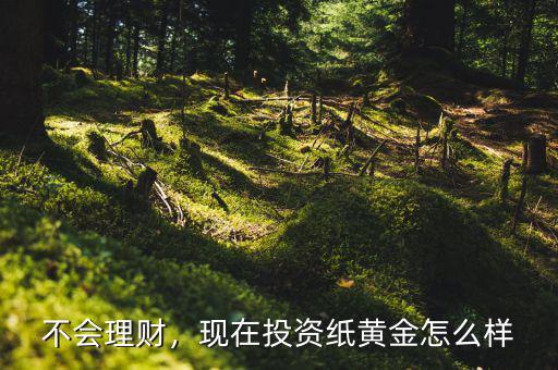 不會理財，現(xiàn)在投資紙黃金怎么樣