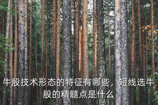 牛股技術(shù)形態(tài)的特征有哪些，短線選牛股的精髓點(diǎn)是什么