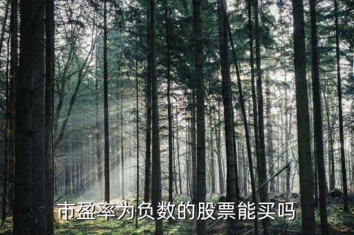 負數的股票怎么買,市盈率為負數的股票能買嗎