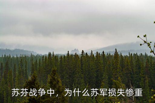 蘇芬戰(zhàn)爭中，為什么蘇軍損失慘重