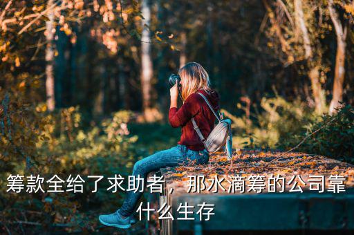 籌款全給了求助者，那水滴籌的公司靠什么生存