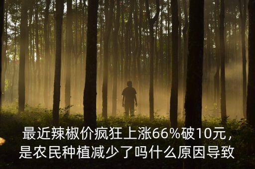 最近辣椒價瘋狂上漲66%破10元，是農(nóng)民種植減少了嗎什么原因?qū)е? class=
