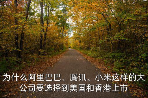 為什么阿里巴巴、騰訊、小米這樣的大公司要選擇到美國(guó)和香港上市