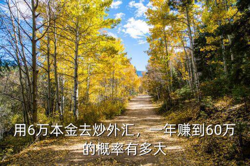 用6萬本金去炒外匯，一年賺到60萬的概率有多大