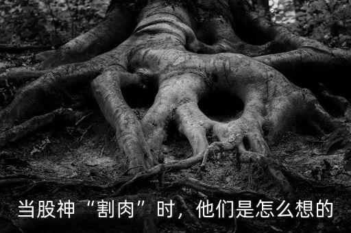 當(dāng)股神“割肉”時(shí)，他們是怎么想的