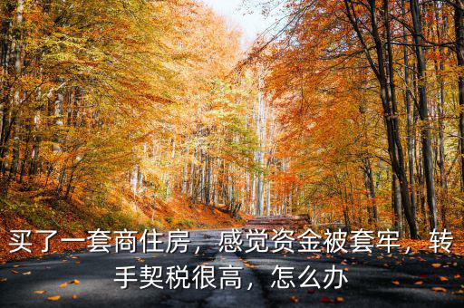 買了一套商住房，感覺資金被套牢，轉(zhuǎn)手契稅很高，怎么辦