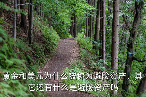 黃金和美元為什么被稱為避險(xiǎn)資產(chǎn)，其它還有什么是避險(xiǎn)資產(chǎn)嗎