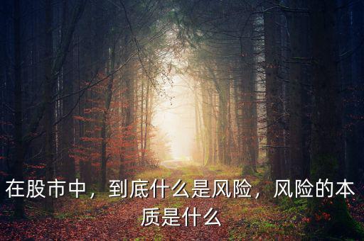 在股市中，到底什么是風險，風險的本質是什么