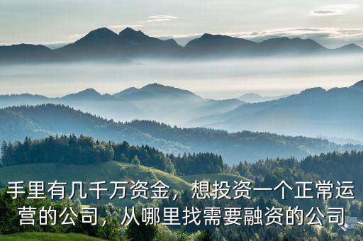 手里有幾千萬資金，想投資一個(gè)正常運(yùn)營(yíng)的公司，從哪里找需要融資的公司