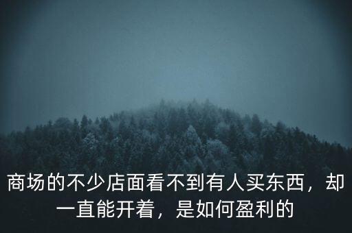 商場(chǎng)的不少店面看不到有人買東西，卻一直能開著，是如何盈利的