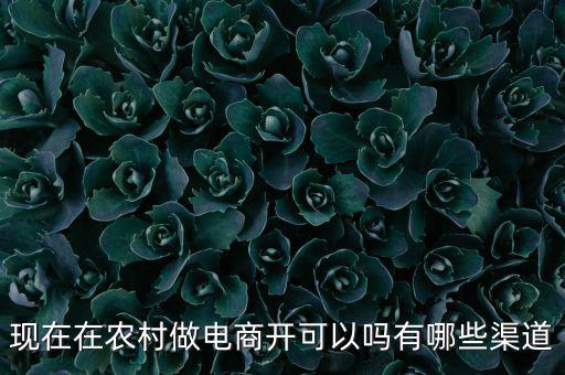 現(xiàn)在在農(nóng)村做電商開(kāi)可以嗎有哪些渠道