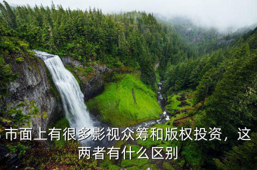 市面上有很多影視眾籌和版權(quán)投資，這兩者有什么區(qū)別
