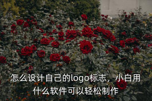 搶標軟件是怎么設(shè)計的,軟件是如何被破解的