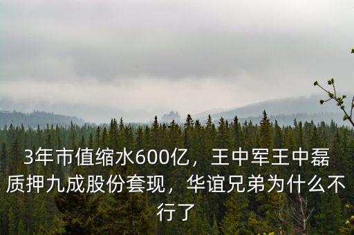 3年市值縮水600億，王中軍王中磊質(zhì)押九成股份套現(xiàn)，華誼兄弟為什么不行了