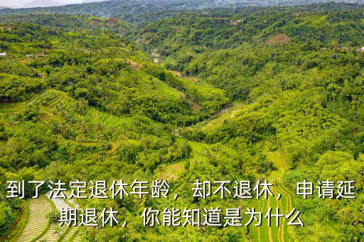 到了法定退休年齡，卻不退休，申請延期退休，你能知道是為什么