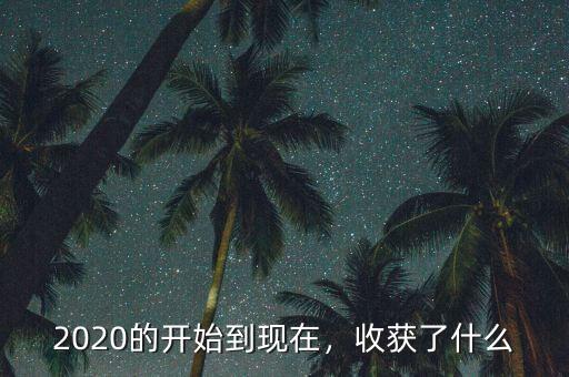 2020的開始到現(xiàn)在，收獲了什么