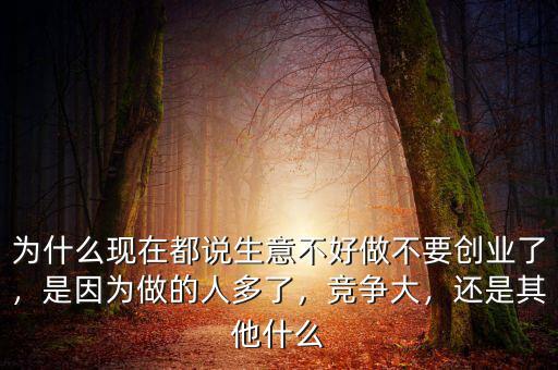 為什么現(xiàn)在都說生意不好做不要?jiǎng)?chuàng)業(yè)了，是因?yàn)樽龅娜硕嗔耍?jìng)爭(zhēng)大，還是其他什么