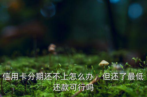 信用卡分期還不上怎么辦，但還了最低還款可行嗎