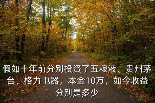 假如十年前分別投資了五糧液、貴州茅臺(tái)、格力電器，本金10萬，如今收益分別是多少