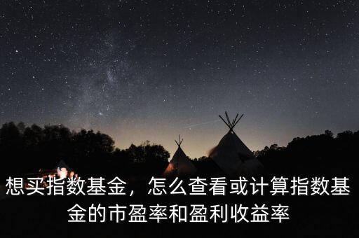 想買指數(shù)基金，怎么查看或計算指數(shù)基金的市盈率和盈利收益率