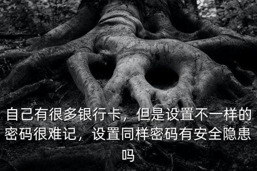 自己有很多銀行卡，但是設(shè)置不一樣的密碼很難記，設(shè)置同樣密碼有安全隱患嗎