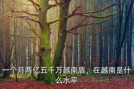 一個(gè)月兩億五千萬(wàn)越南盾，在越南是什么水平