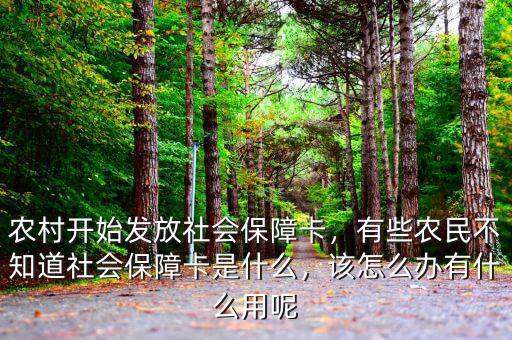 農村社會保障卡有什么用途,農村開始發(fā)放社會保障卡