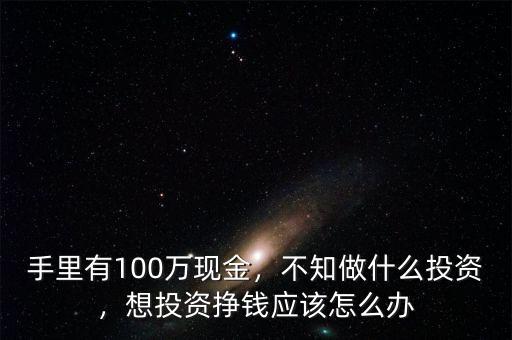 手里有100萬現(xiàn)金，不知做什么投資，想投資掙錢應(yīng)該怎么辦