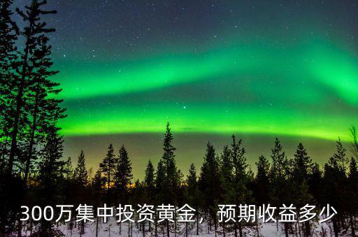 300萬集中投資黃金，預(yù)期收益多少