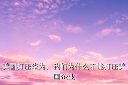 美國(guó)打壓華為，我們?yōu)槭裁床荒艽驂好绹?guó)企業(yè)